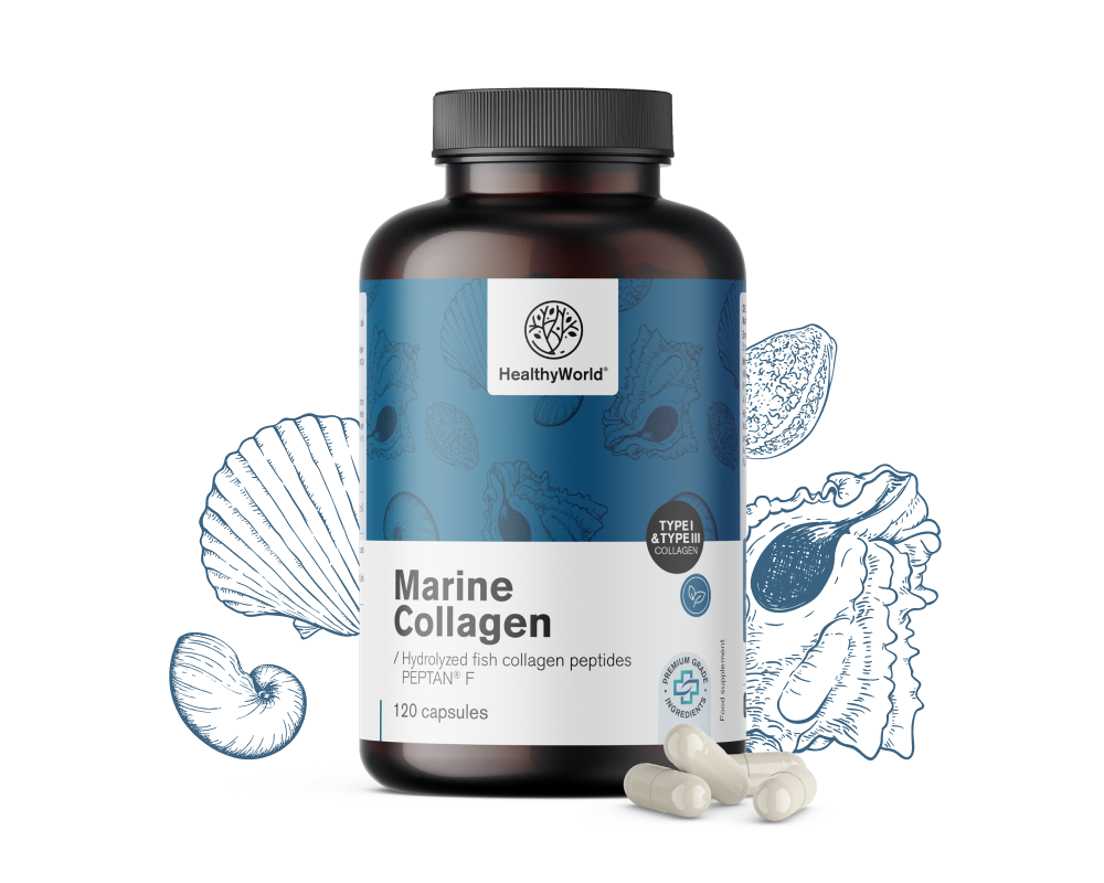 Collagene marino 1170 mg