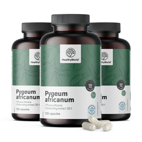 3x Pygeum – estratto di pigeo africano, totale 360 capsule
