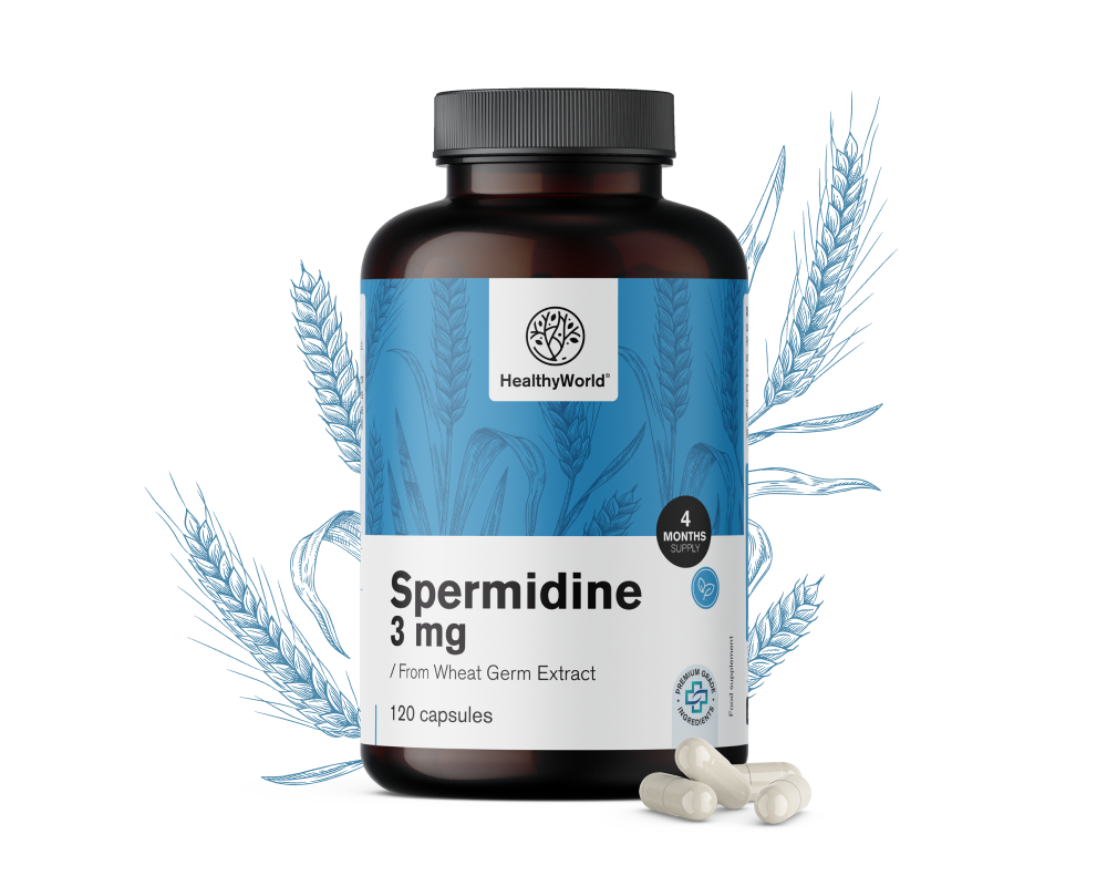 Spermidina 3 mg – dall'estratto di germe di grano