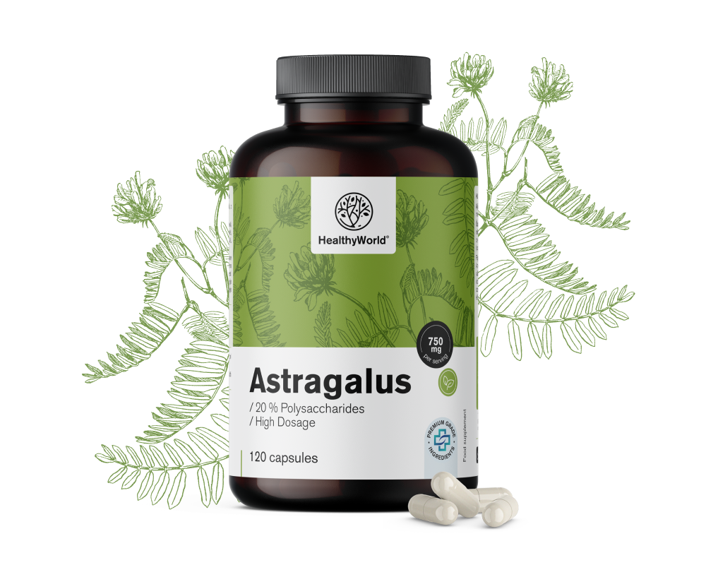 Astragalo – estratto