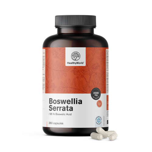 Boswellia Serrata – 85% di acido boswellico, 360 capsule