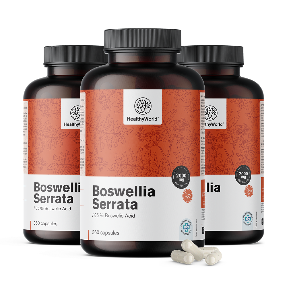 Boswellia Serrata – 85% di acido boswellico